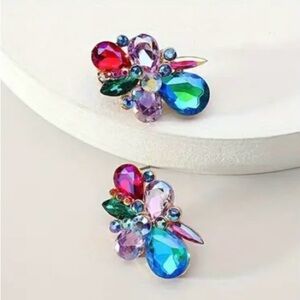 Stunning Statement Earrings